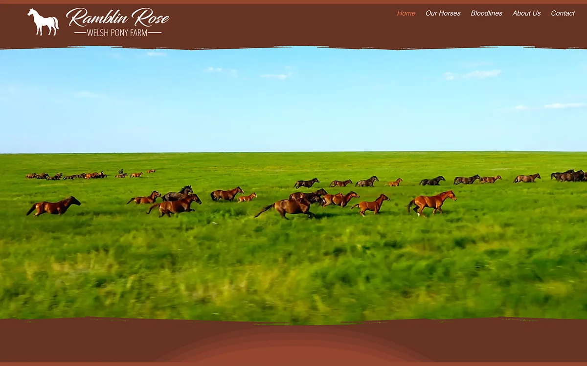 Screenshot of the Ramblin Rose Welsh Ponies website
